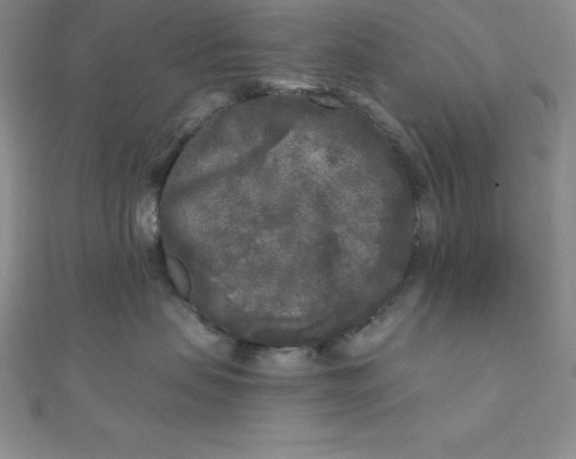 X0000111000479200907022141