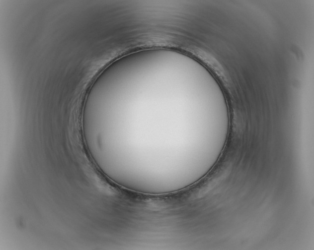 X0000111000481200907022140