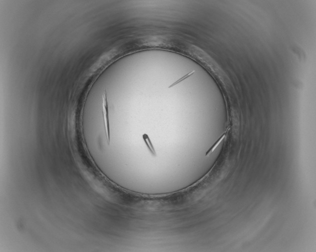 X0000111000482200907022140