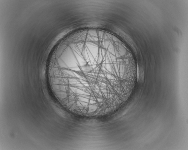 X0000111000483200907022140