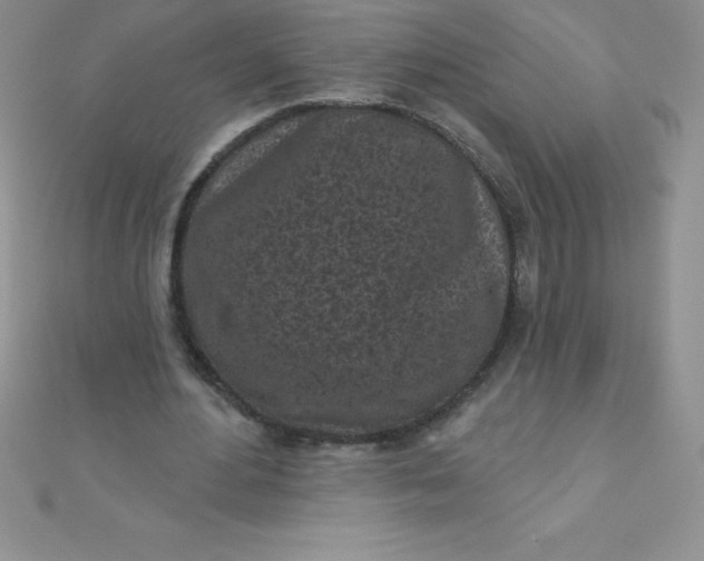 X0000111000484200907022140