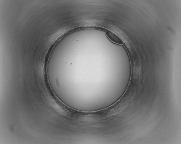 X0000111000485200907022140