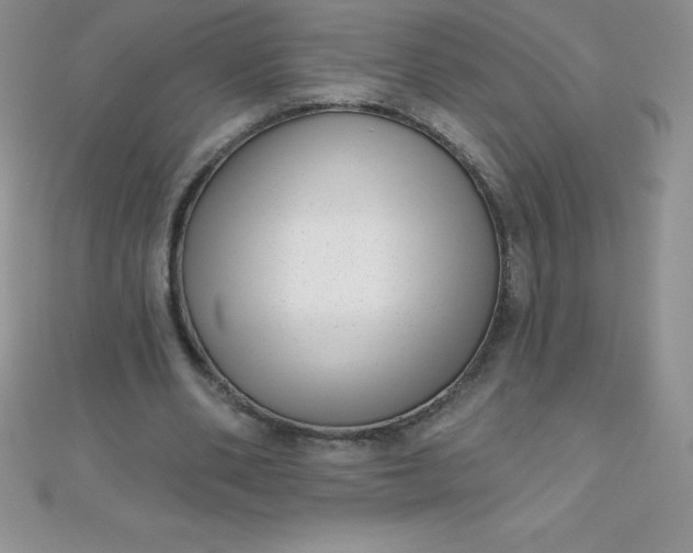 X0000111000486200907022140