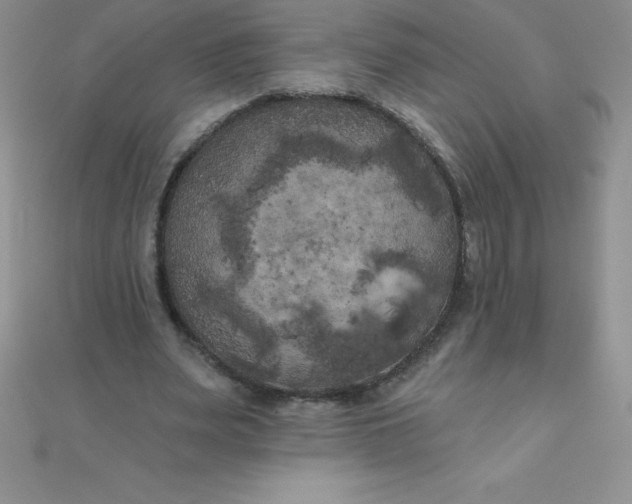 X0000111000487200907022140