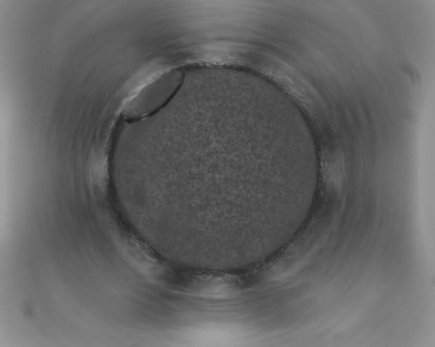 X0000111000488200907022140