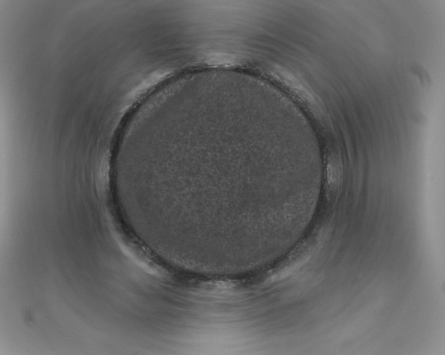 X0000111000492200907022140