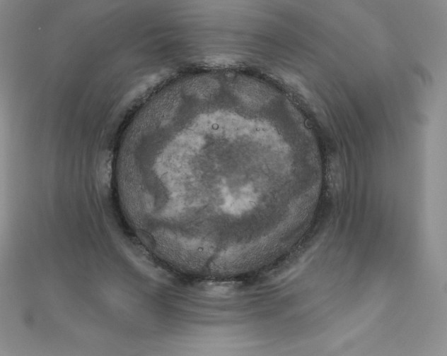 X0000111000495200907022140