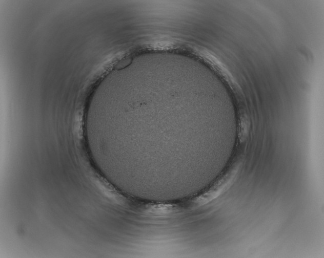 X0000111000497200907022140