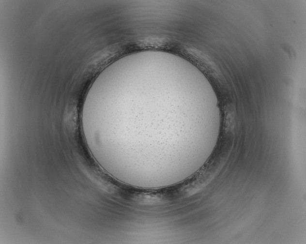 X0000111000498200907022140