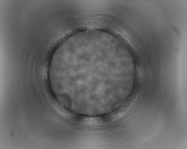 X0000111000499200907022140