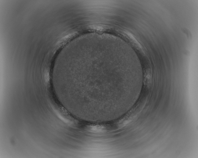 X0000111000500200907022140