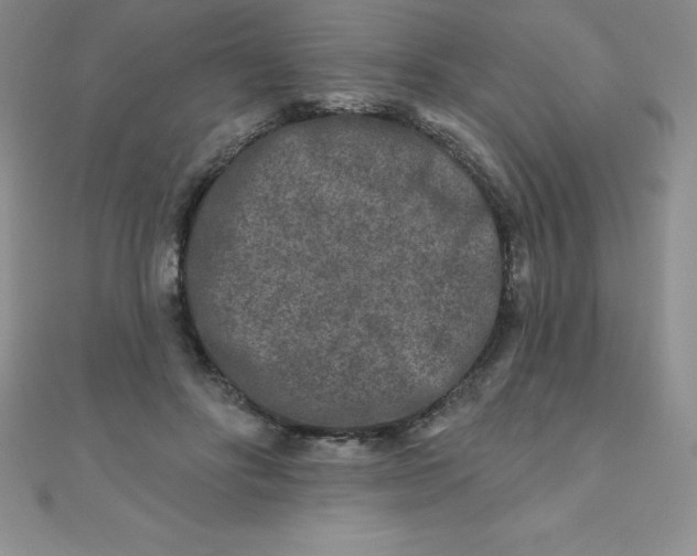 X0000111000502200907022140