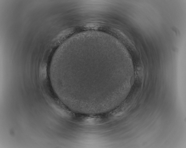 X0000111000504200907022140