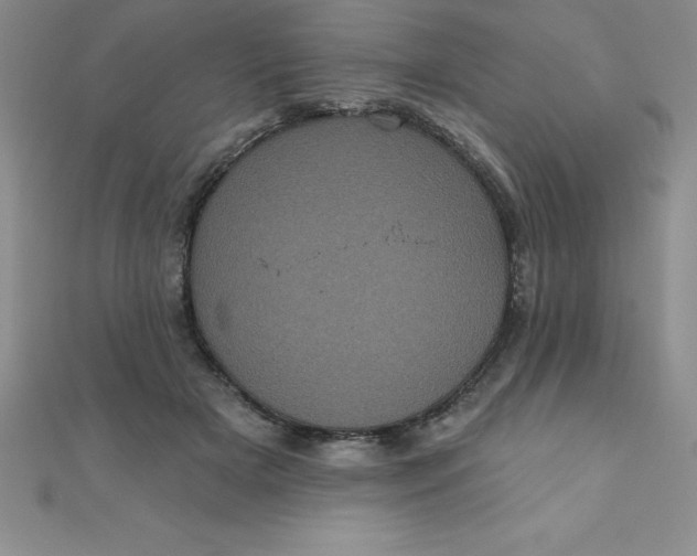 X0000111000505200907022140