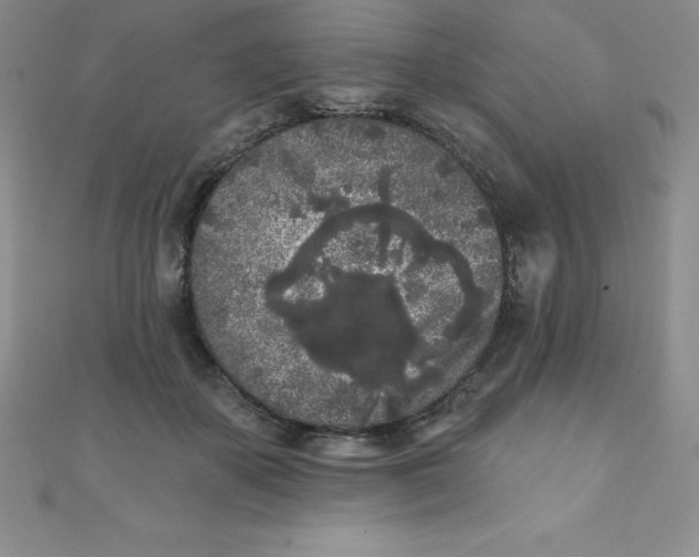 X0000111000507200907022140