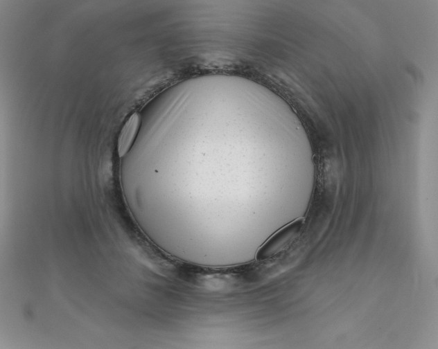 X0000111000508200907022140