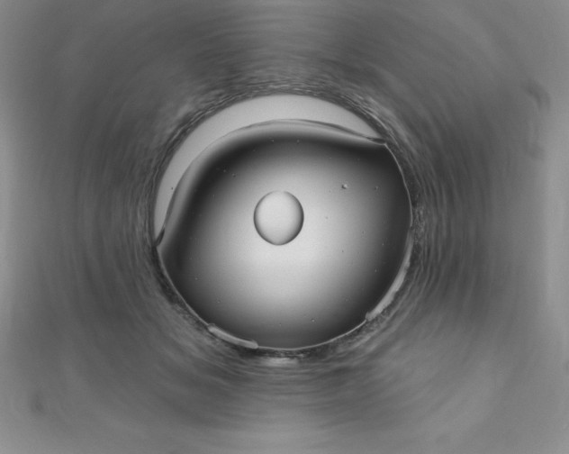 X0000111000509200907022140