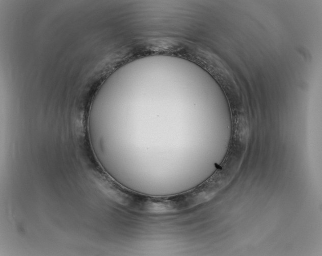 X0000111000510200907022140