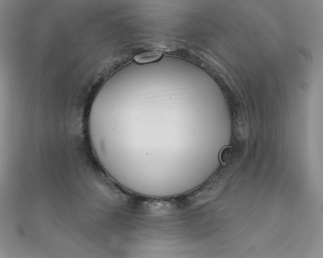 X0000111000512200907022140