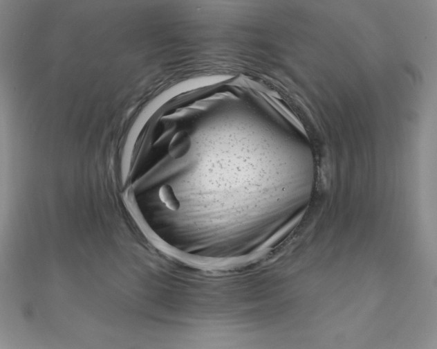 X0000111000520200907022140