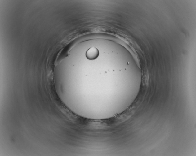 X0000111000521200907022140