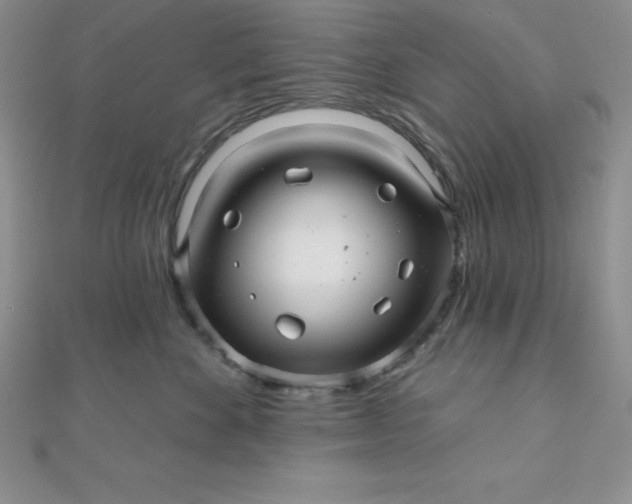 X0000111000524200907022139