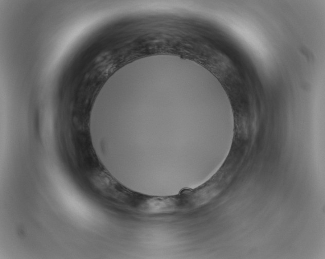 X0000111000526200907022139