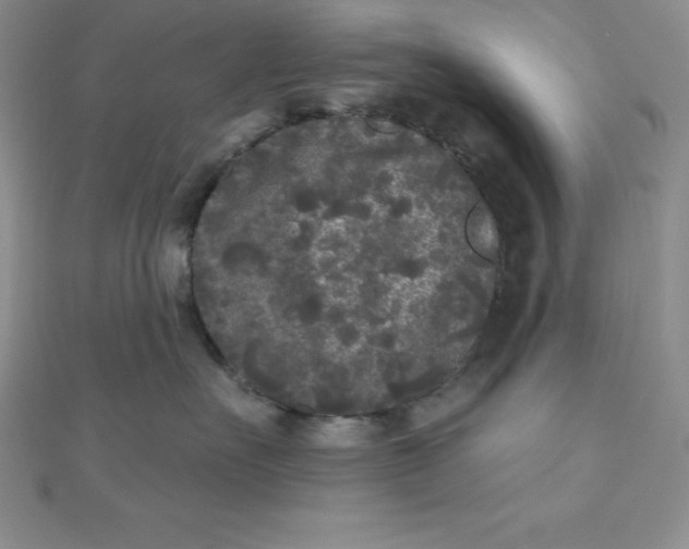 X0000111000527200907022139