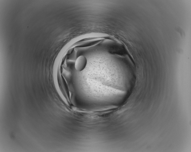 X0000111000528200907022139