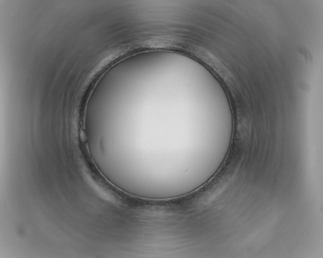 X0000111000530200907022139