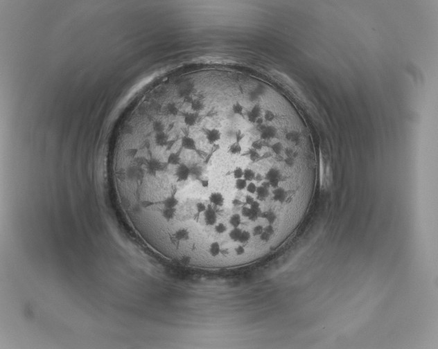 X0000111000531200907022139