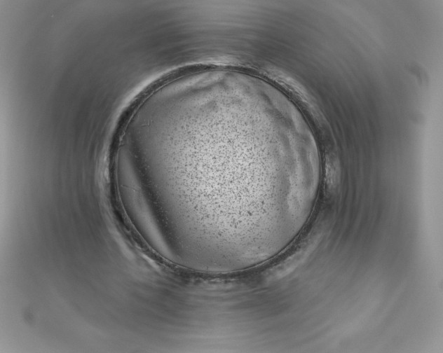 X0000111000532200907022139