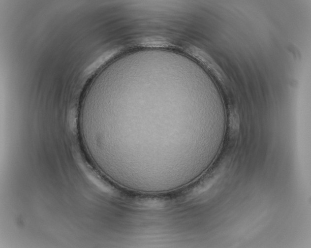 X0000111000533200907022139