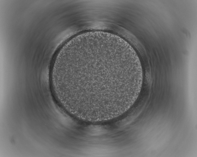 X0000111000534200907022139