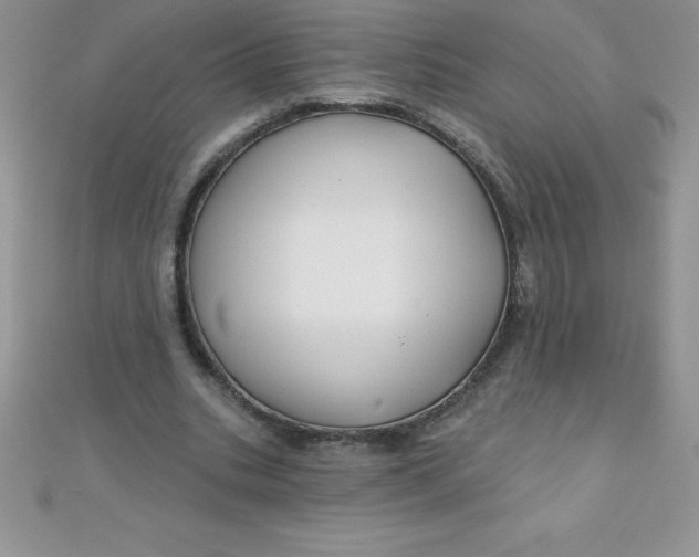 X0000111000535200907022139