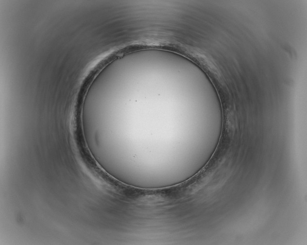 X0000111000536200907022139