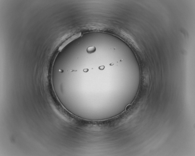 X0000111000538200907022139