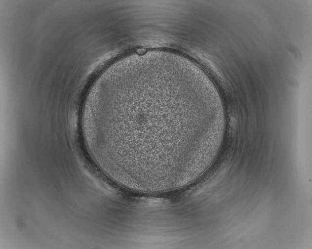 X0000111000539200907022139