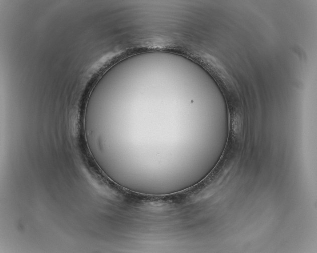 X0000111000540200907022139