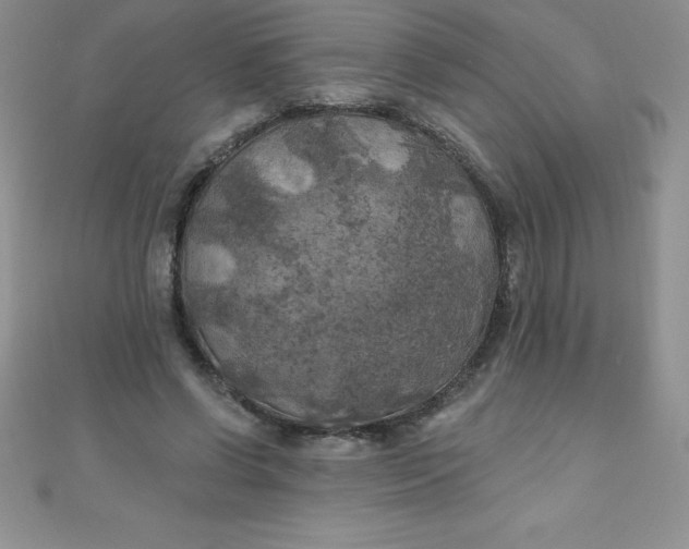 X0000111000542200907022139