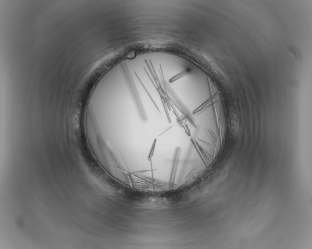 X0000111000543200907022139