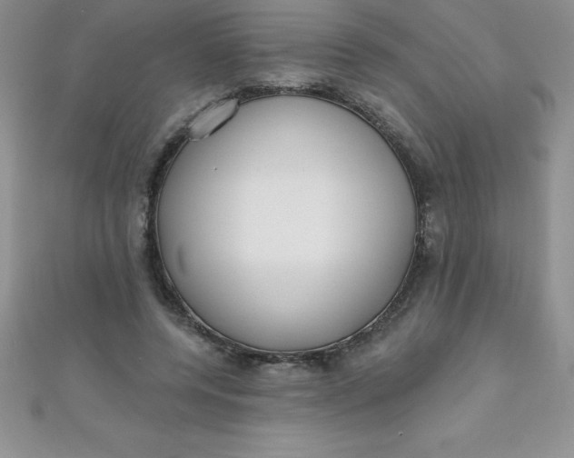 X0000111000544200907022139