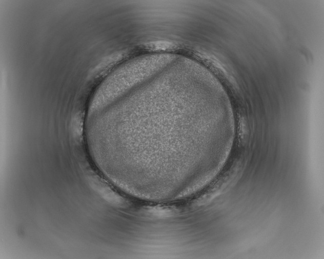 X0000111000545200907022139