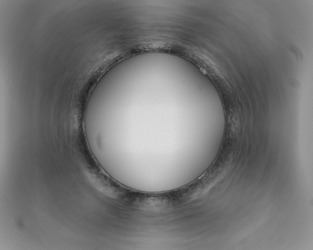 X0000111000546200907022139