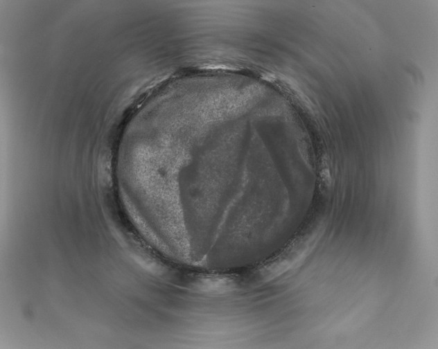 X0000111000547200907022139