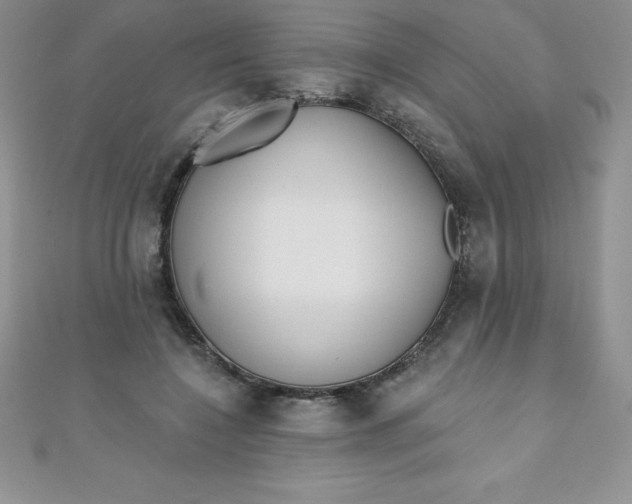 X0000111000548200907022139