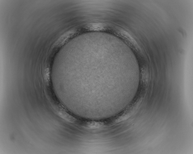 X0000111000549200907022139