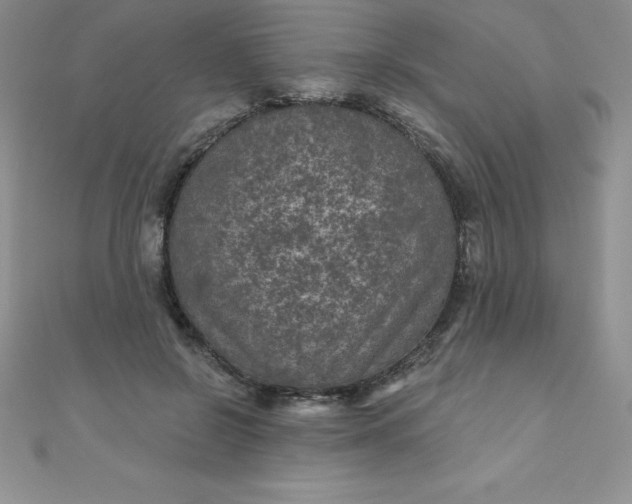 X0000111000550200907022139