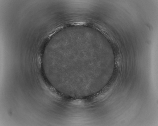 X0000111000551200907022139