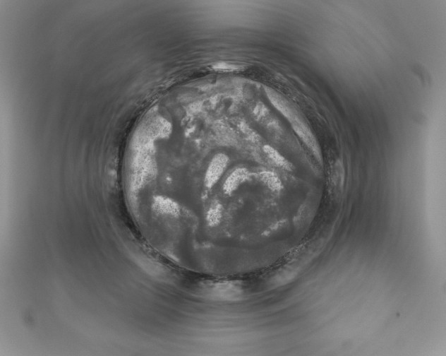 X0000111000553200907022139